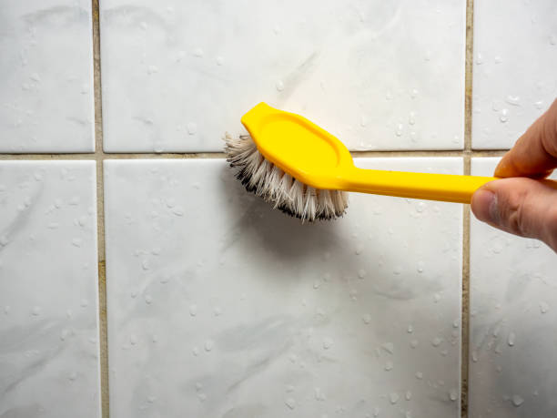 Best Mold Damage Repair  in Clayton, IN