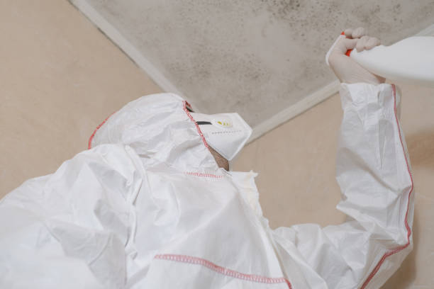 Best Emergency Mold Removal  in Clayton, IN