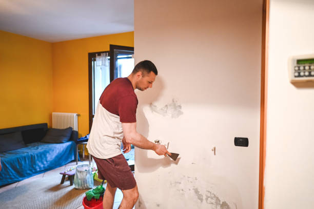 Best Professional Mold Removal  in Clayton, IN